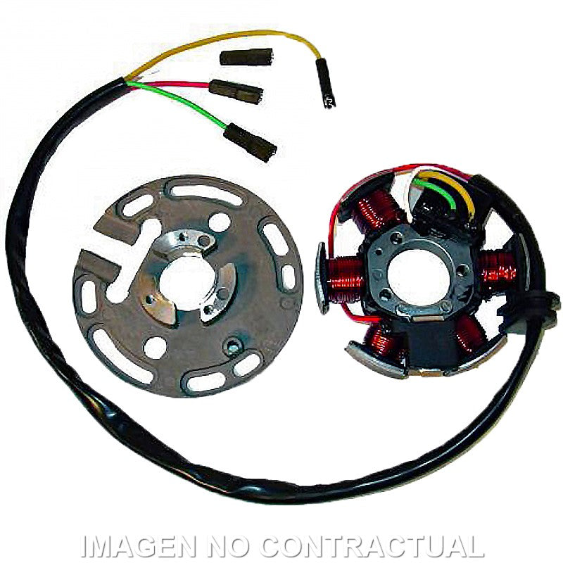 STATOR KOKUSAN 6 POLOS 12V 100W MOTOR MINARELLI 50 AM6/AM345