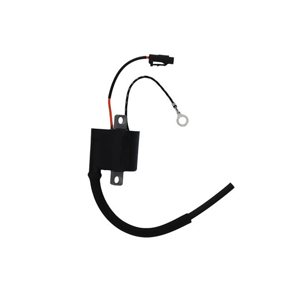 BOBINA MITSUBISHI KAWASAKI KX-F 250 (13/21)