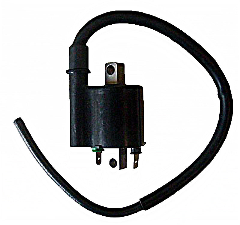 BOBINA 12V 3 OHM - 2 FASTONS CON CABLE 40 CM.