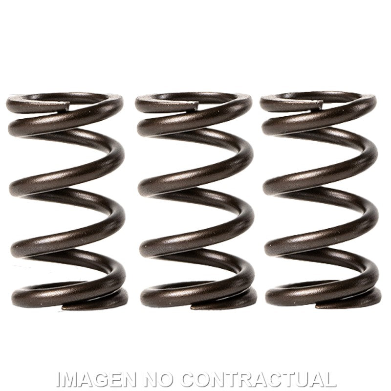 MUELLES MALOSSI VALVULAS MOTOR PIAGGIO LIBERTY 3V