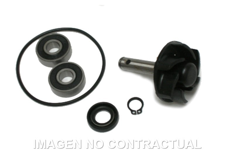KIT REPARACIÓN BOMBA DE AGUA MOTOR MINARELLI 50