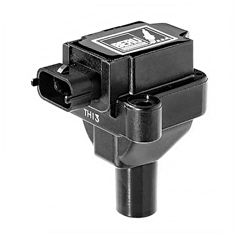 BOBINA BERU 12V BMW F 650GS