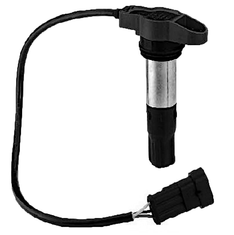 BOBINA INTEGRADA 12V BERU SHIVER 750