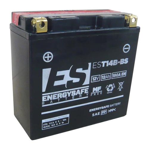 BATERÍA ENERGYSAFE EST14B-BS SIN MANTENIMIENTO