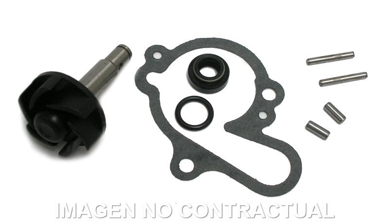 KIT REPARACIÓN BOMBA DE AGUA MINARELLI AM6