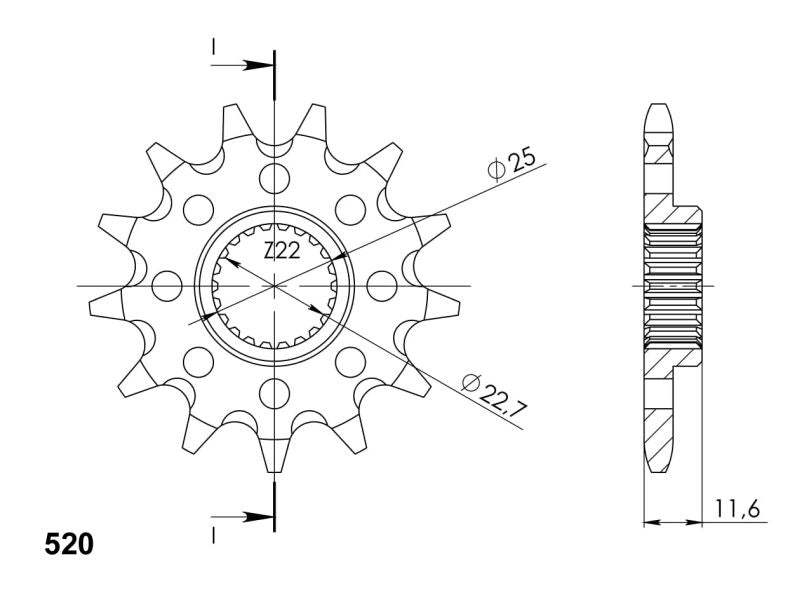 PIÑÓN SUPERSPROX POLARIS 520 X 11  - CST3221X11