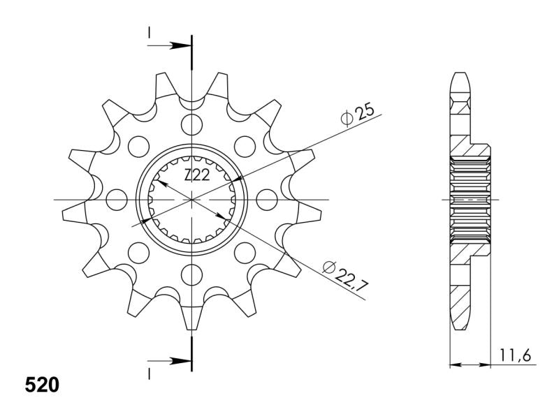 PIÑÓN SUPERSPROX POLARIS 520 X 13  - CST3221X13
