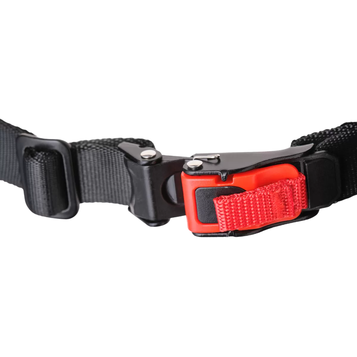 CASCO GMS GELATO FRAGOLA