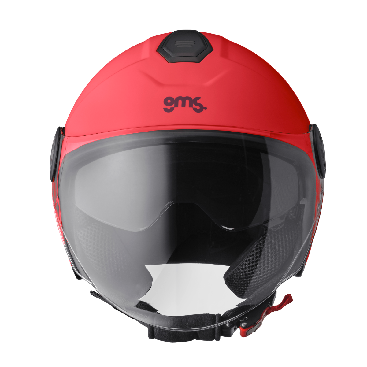 CASCO GMS GELATO AMARENA